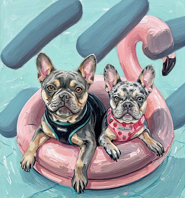 Maxi and Bella, Jessica Vega's French Bulldogs